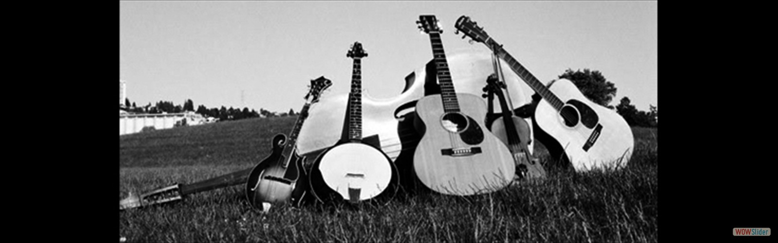 bluegrassinstruments
